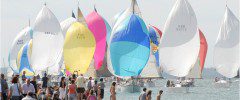 Cowes Week - Events - Ancasta