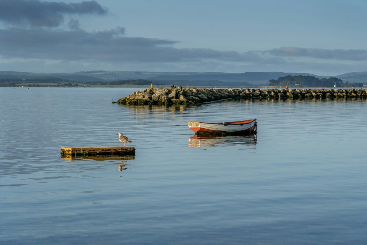 Poole Harbour