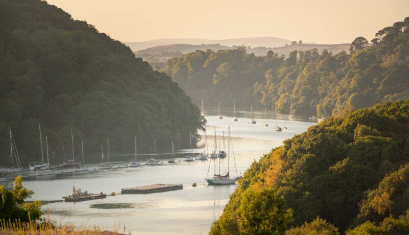 shot over looking noss on dart with rang of sailing yachts on the river